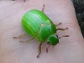 20150529_093958