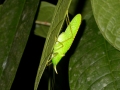 Abril 2004 018