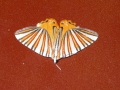 DSCN9503
