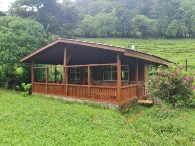 Farm Cottage 20221120 151443 1024x768