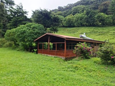 Farm Cottage 20221120 152645 1024x768