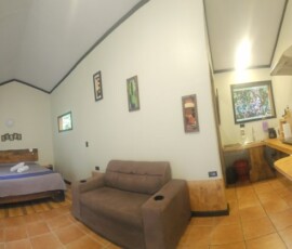 Mini Studio 20251021 115257 1 1024x419
