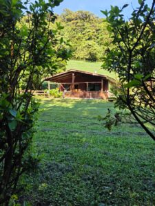 Farm Cottage casa de la finca 768x1024